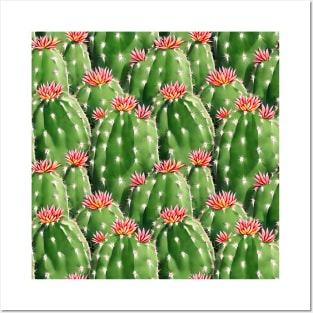 Cactus pattern Posters and Art